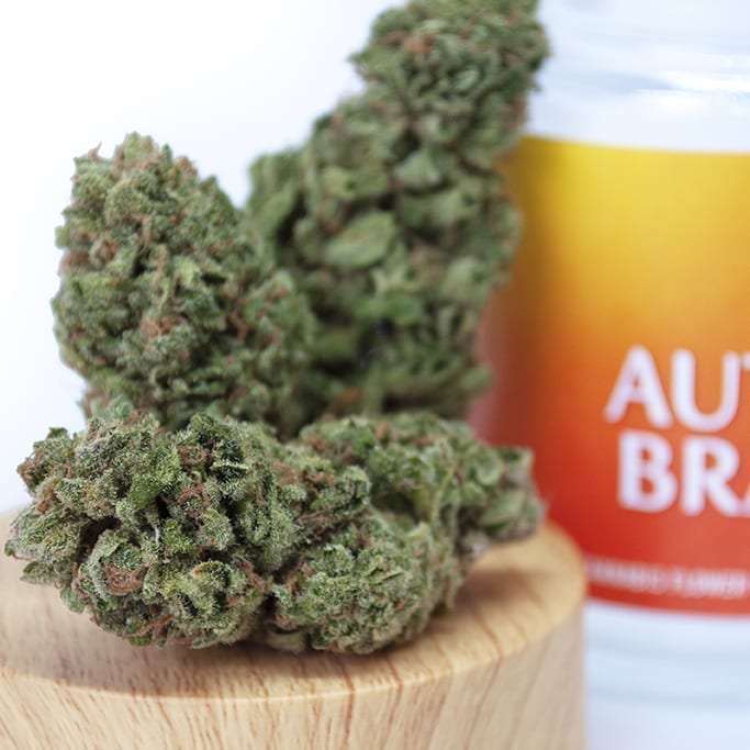 Blue Dream CBD cannabis Strain