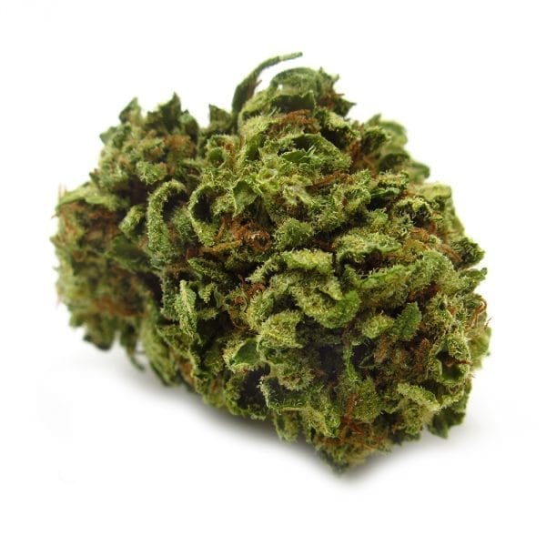 Keeping Your Cannabis Fresh