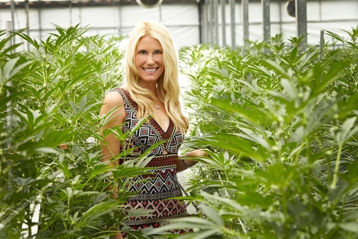 Closing the Cannabis Gap