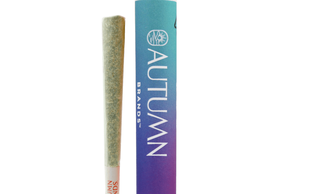 1g Preroll – Indica