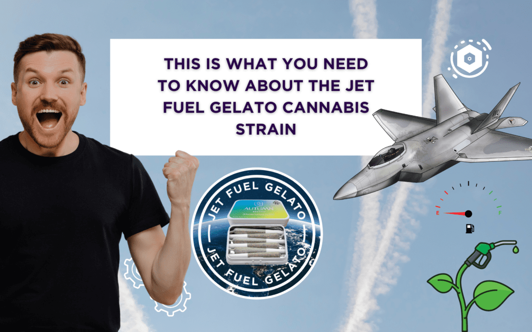 What You Need To Know About Jet Fuel Gelato