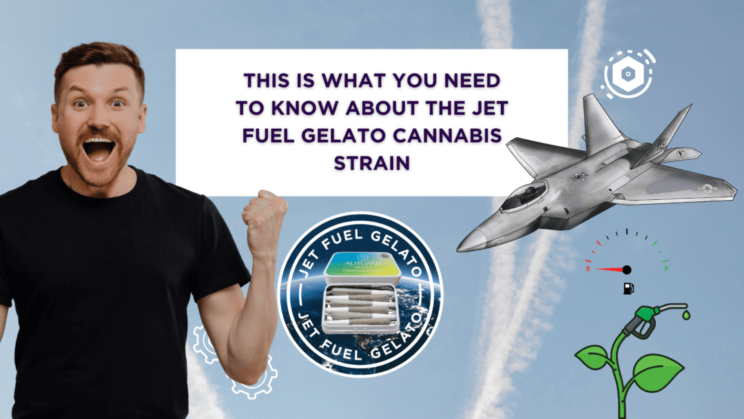 What You Need To Know About Jet Fuel Gelato