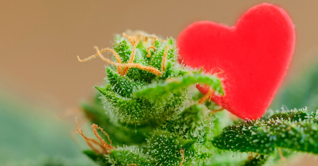 Romance Tips to Elevate Your Valentine’s Day